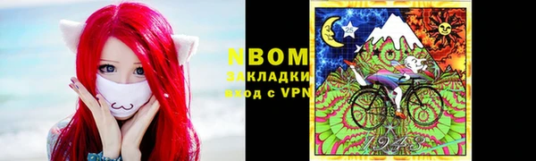 индика Нея