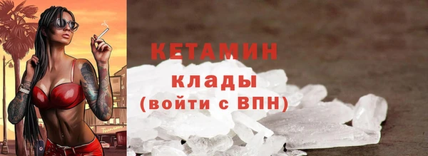 шишки Верея