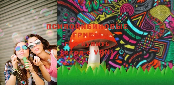 PSILOCYBIN Новокубанск