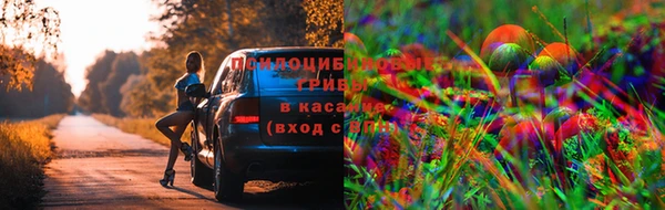круглые Новодвинск