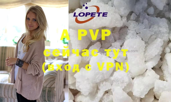 круглые Новодвинск