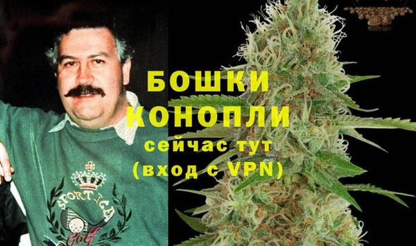 PSILOCYBIN Новокубанск