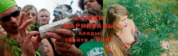 спиды Новозыбков