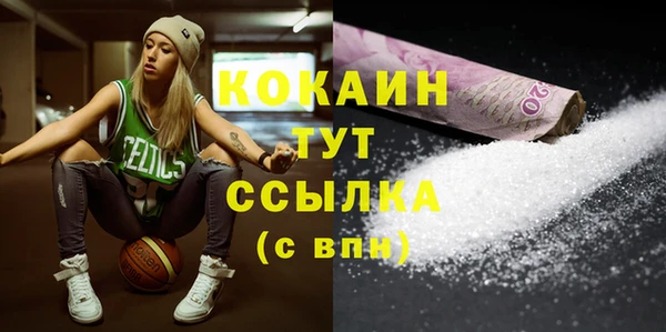 индика Нея