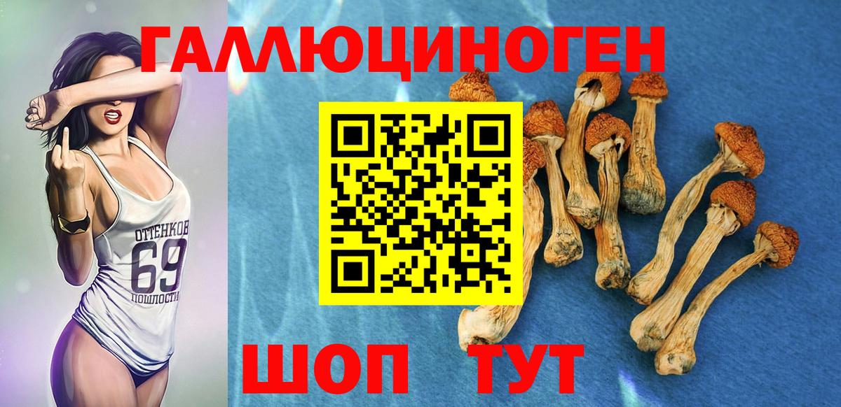 Псилоцибиновые грибы Psilocybe  Псилоцибиновые грибы Psilocybe  что такое наркотик  Менделеевск  Вход с VPN 