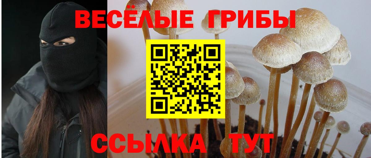Псилоцибиновые грибы MAGIC MUSHROOMS Менделеевск